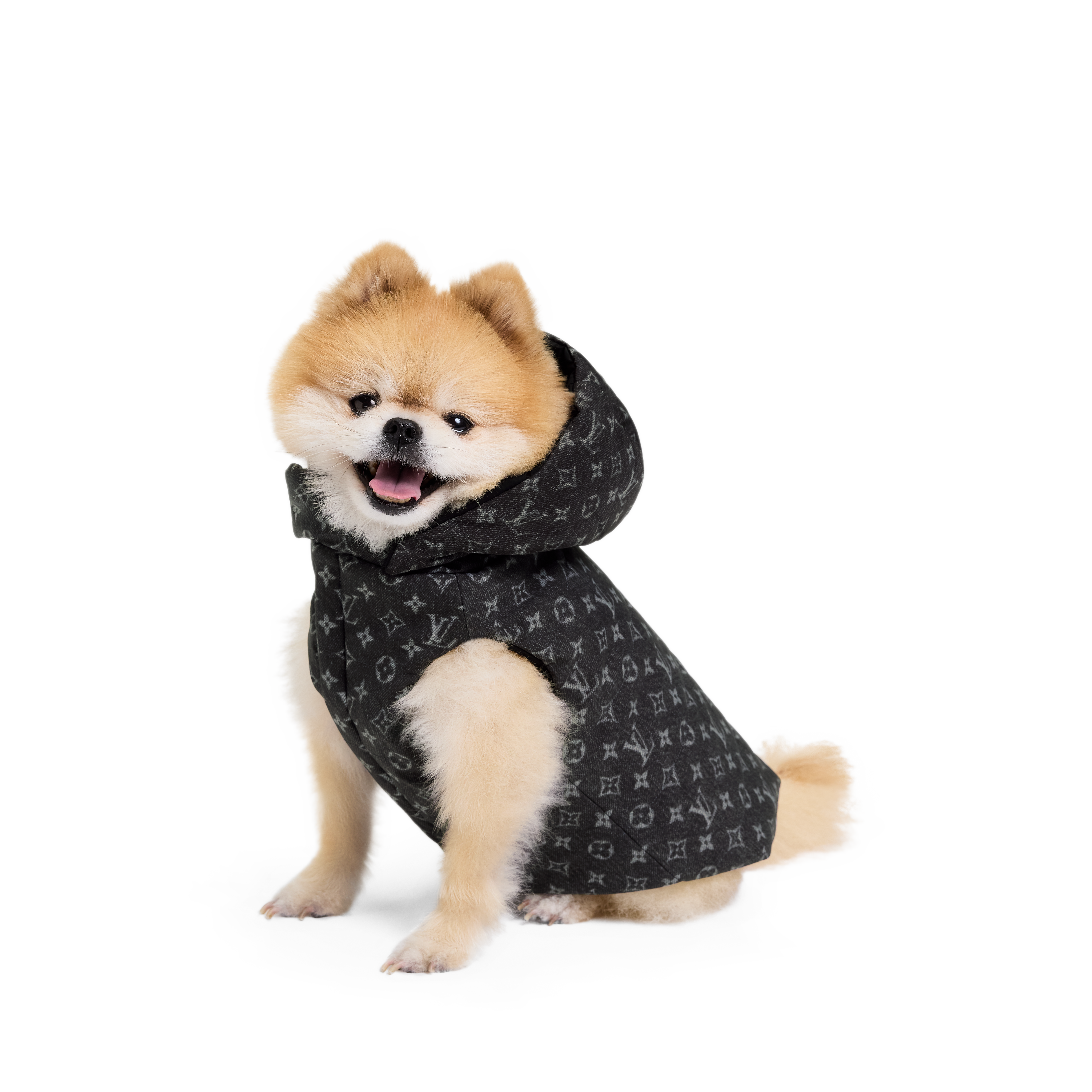 for-pets-collection-for-new-louis-vuitton